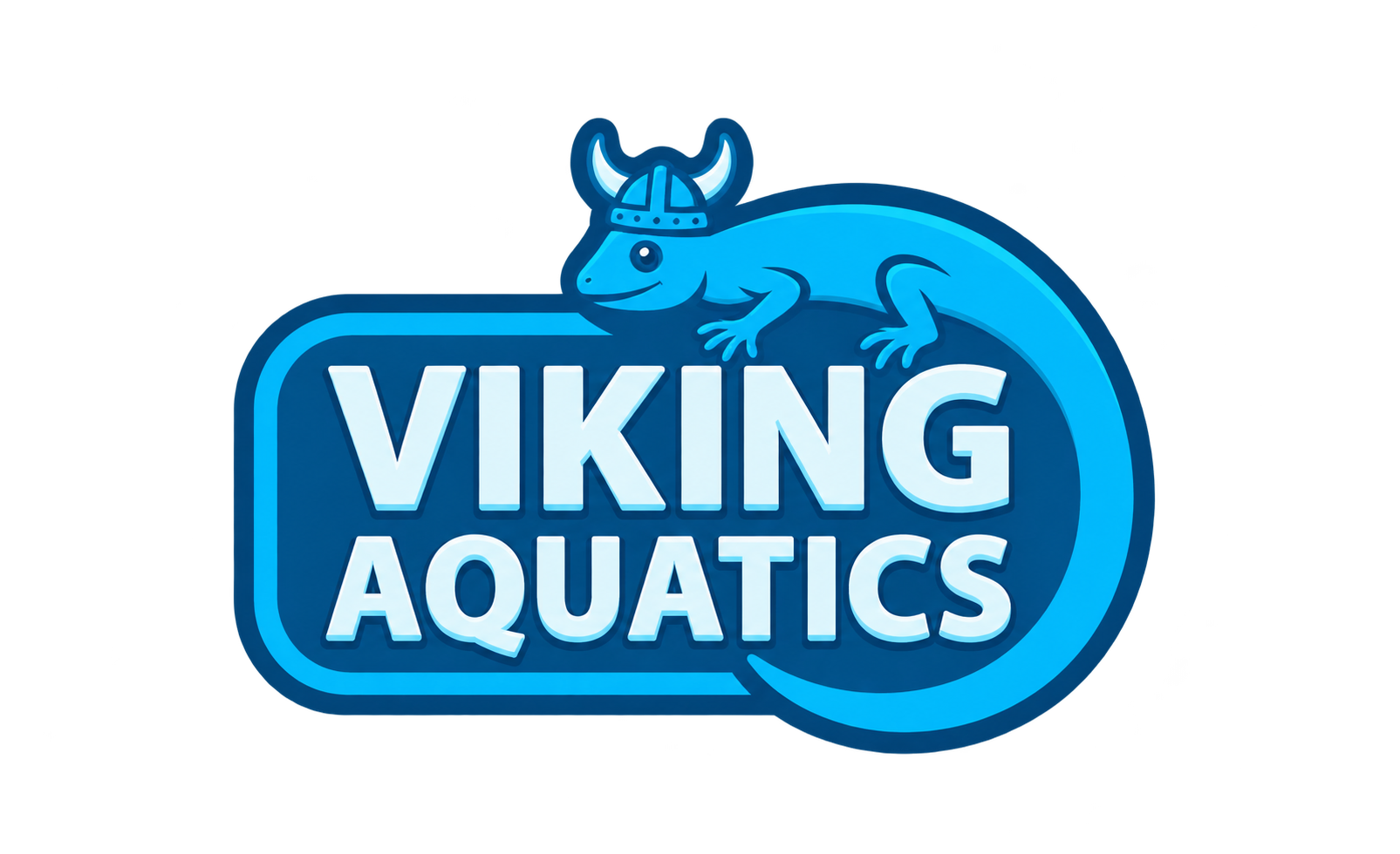 Viking Aquatics