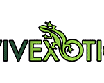 viv-exotic-logo